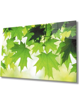 MiraLive  Yeşil Yapraklar Cam Tablo   Green Leaves