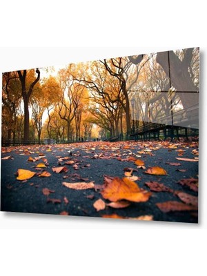 MiraLive   Doğa Cam Tablo