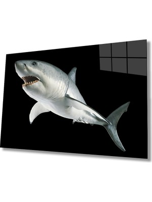  Köpek Balığı Hayvan Cam Tablo