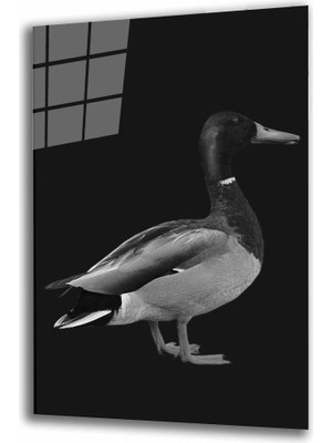 MiraLive  Ördek Hayvan Cam Tablo