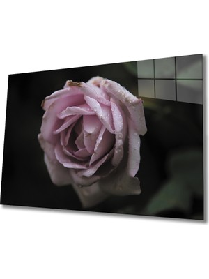 MiraLive  Gül Cam Tablo