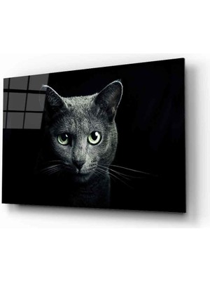  Kedi Hayvan  Cam Tablo