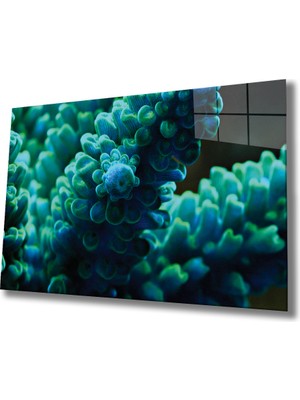 MiraLive  Sualtı Cam Tablo Marine Life