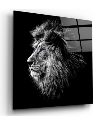MiraLive Aslan Cam Tablo