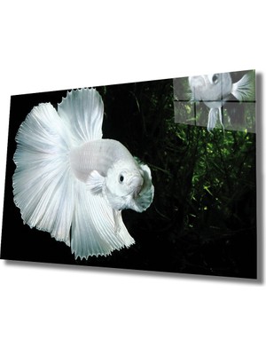 MiraLive  Beyaz Balık Cam Tablo White Fish