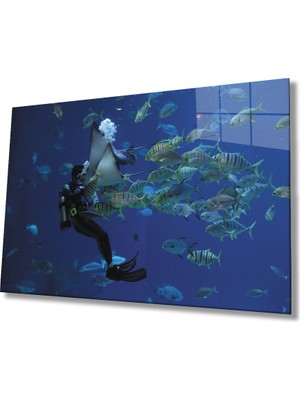 MiraLive  Dalgıç Balık Sualtı Diver Fish Underwater