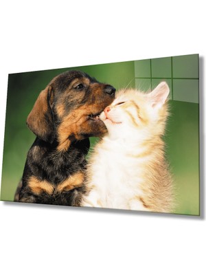 MiraLive  Kedi ve  Köpek Cam Tablo