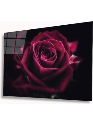 MiraLive  Kırmızı Gül Cam Tablo