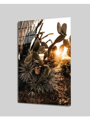 MiraLive   Gün Batımı Işık Cam Tablo