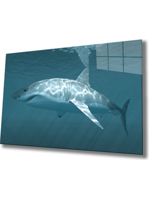 MiraLive  Köpek Balığı Cam Tablo Shark
