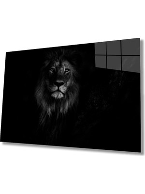 MiraLive  Aslan Hayvan  Cam Tablo