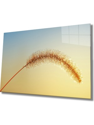 MiraLive  Manzara Cam Tablo Landscape