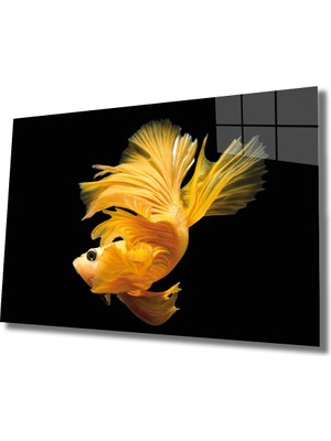 MiraLive  Sarı Balık Cam Tablo Yellow Fish