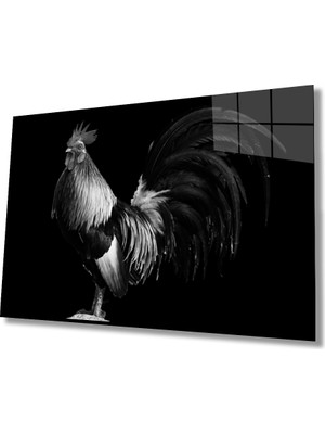 MiraLive  Horoz Hayvan Cam Tablo