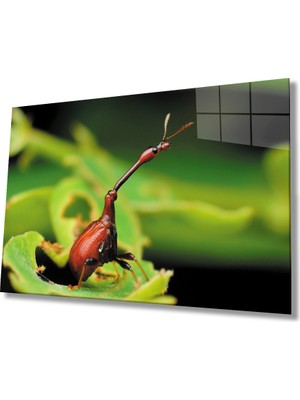 MiraLive  Böcek Yeşil Cam Tablo   Insect Green