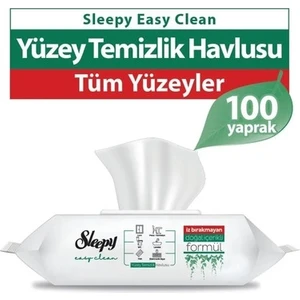 Easy Clean Yüzey Temizlik Havlusu 100 Yaprak