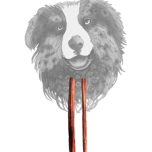 Sirius Pet Food Bully Stick - Dana Penisi 30 cm 2 Adet