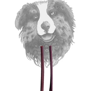 Sirius Pet Food Collagen Stick - Kolajen Çubuk 30 cm 2 Adet