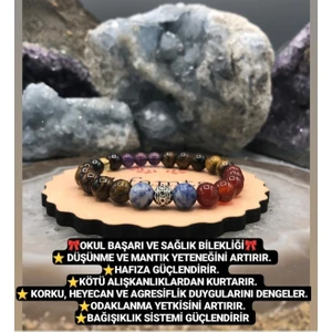 Sertifikalı   Okul Başarı Bilekliği