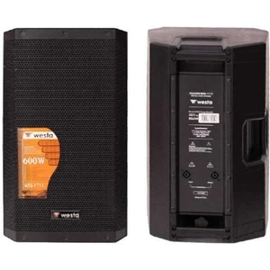 WSS-1712 12” Kabin Hoparlör