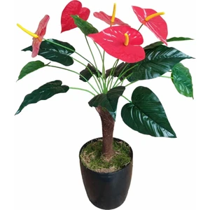 Cennet Home Islak Antoryum Palmiye Gövdeli Yapay Çiçek 5 Kafa 13 Yaprak 70 cm Yapay Çiçek