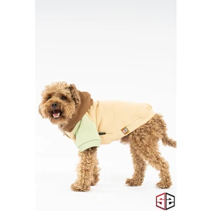 Salya Store Yeni - Caramel Sweatshirt Köpek Kıyafeti KK-100