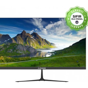 23.8 Ezcool Corp EZ24 5ms 100HZ HDMI VGA