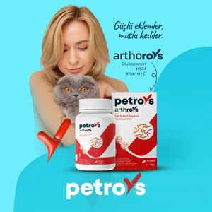 Arthroys Kedi ve Köpekler Için Msm ve Glukozamin Içeren TABLET75 Tablet