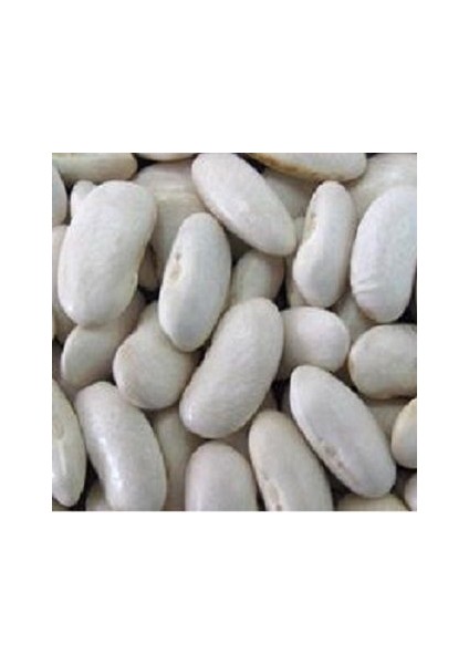 100 Adet Tohum Paket Beyaz Organik Fasulye Tohumu Kuru Fasulye Ata Tohum