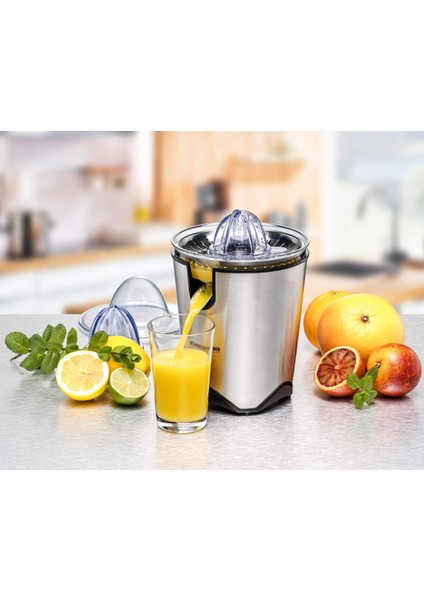 Zp 60/e Elektrikli Narenciye Sıkacağı, 100, Paslanmaz Çelik fırsatları