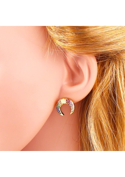 Renkli Zirkon Ay Çıtçıtları Küpe (Yurt Dışından) modelleri