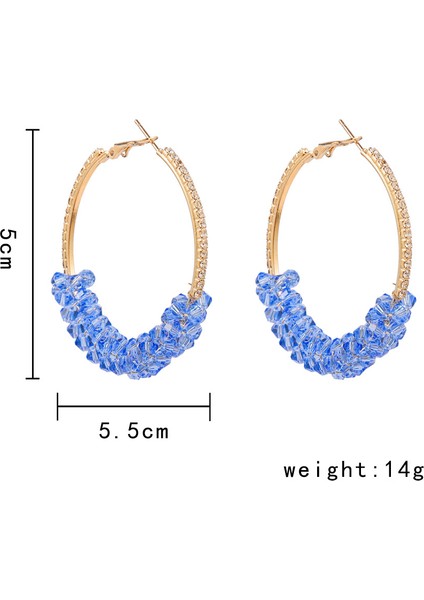 Daire Reçine Geometrik Küpe (Yurt Dışından) fiyatları