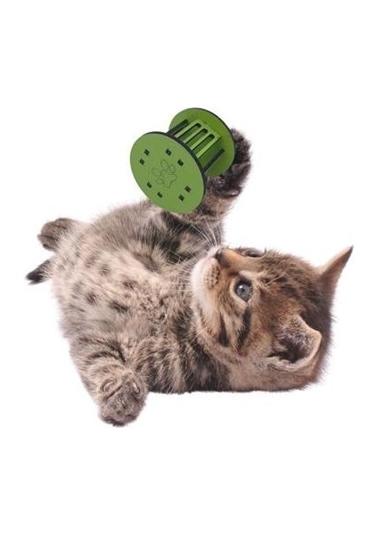 Petinka® Mini Silindir Eğlenceli Renkli Sağlam Küçük Pati Izi Şekilli Kedi Oyuncağı fırsatları