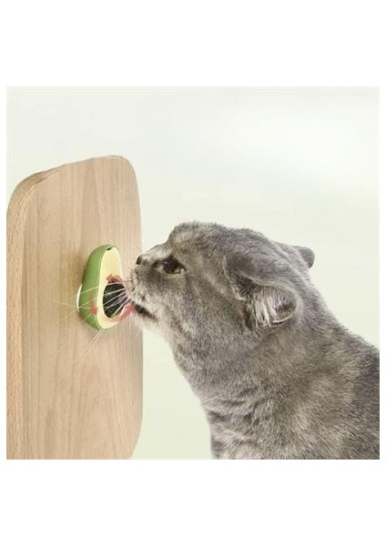 Petinka® Avokado Model Yapışkanlı Kedi Oyuncağı Yenilebilir Kedi Nanesi Otu modelleri