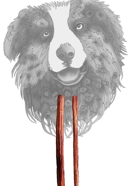 Bully Stick - Dana Penisi 30 cm 2 Adet