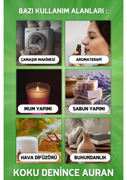 Meyveler 10'lu Set Saf Esansiyel Uçucu Yağ Buhurdanlık Yağı Buhar Makinesi Esansı Aroma 10x 10ml