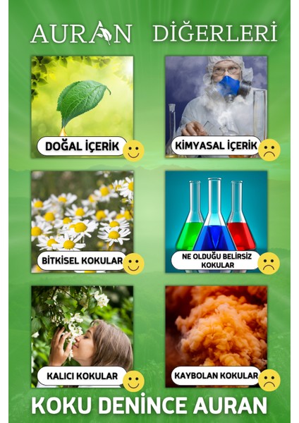 Favori Set Esansiyel Uçucu Yağ Buhurdanlık Yağı Hava Nemlendirici Aroma Difüzörü Kokusu Esans 6x