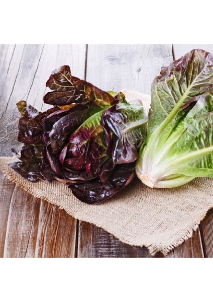 Red Romaine Kırmızı Marul Tohumu Atalık Kışa Dayanıklı fırsatları