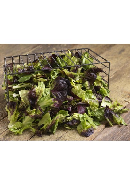 Red Romaine Kırmızı Marul Tohumu Atalık Kışa Dayanıklı indirimleri