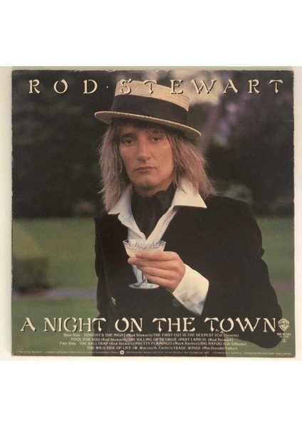 Rod Stewart A Night On The Town Lp Plak (Orjinal 1976 Alman Baskı)