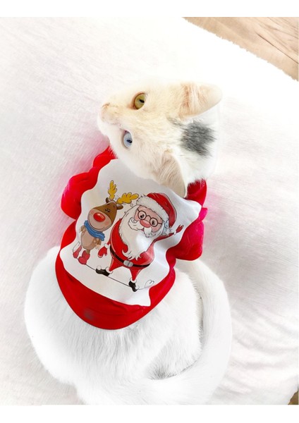 Santa And Friend Rudolph Kedi Tişörtü Yılbaşı Noel Christmas Kedi Elbisesi