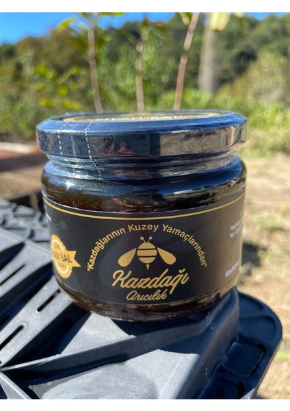 Kazdağı Siyah Bal 430 gr