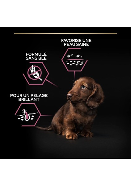 Small Mini Puppy Somonlu Yavru Köpek Maması 3 kg - Marspet