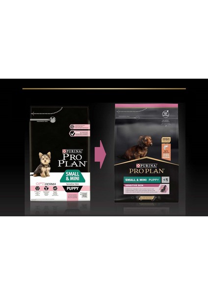 Küçük Irk Somonlu Yavru Köpek Maması 3 kg - Marspet