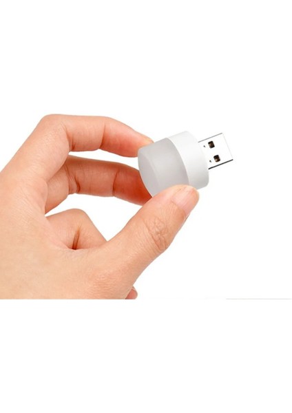 Mini USB LED Gün Işığı Rengi Portatif Lamba