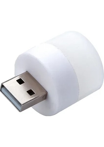 Mini USB LED Gün Işığı Rengi Portatif Lamba