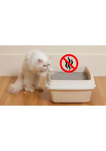 4'lü Kedi Kumu Koku Giderici (Okyanus Esintili) fiyatları