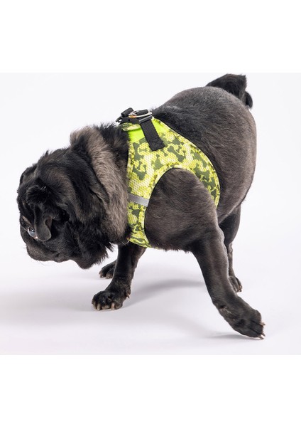 Greenossa Air - Mesh Göğüs Tasması Kedi Köpek Göğüs Tasması A22