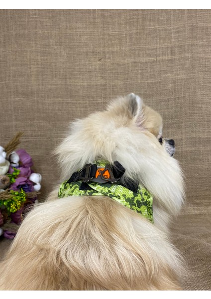 Greenossa Air - Mesh Göğüs Tasması Kedi Köpek Göğüs Tasması A22
