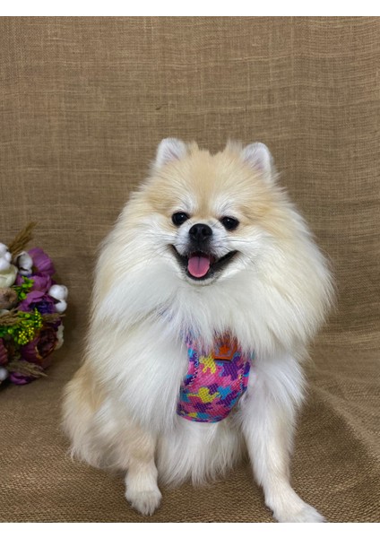 Air - Mesh Rosea Camouflage Köpek Göğüs Tasması